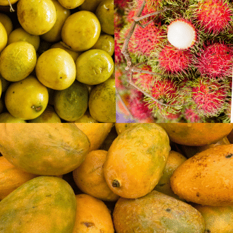 Fruit
